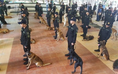 <p>The crime-fighting dogs have been drafted into the Philippine National Police's K-9 unit.<em> (PNA photo by Benjamin Pulta)</em></p>